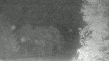 Weather camera view of Chestnut Ridge Metro Park.