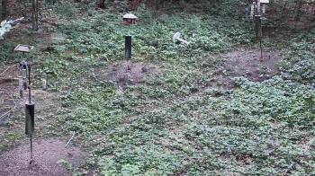 Weather camera view of Cincinnati Nature Center.