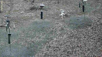 Weather camera view of Cincinnati Nature Center.