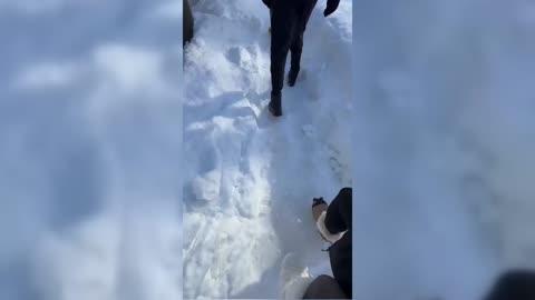 Record Snow Hits North Japan