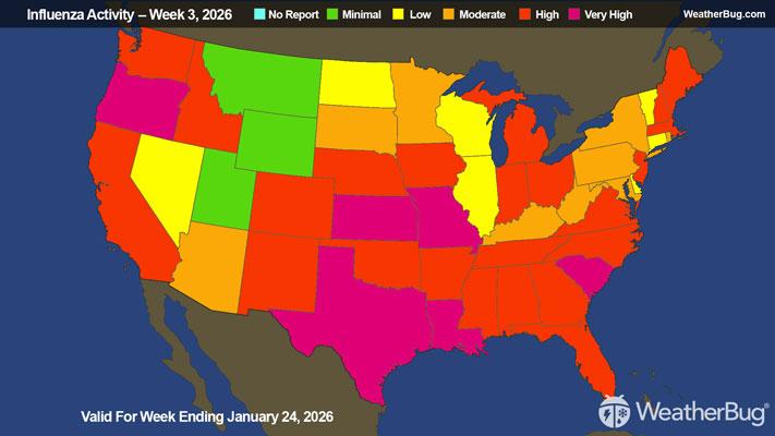 Flu Update Valid For Week Ending January 24, 2026