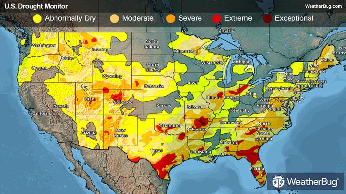 Weekly Drought Map for February 12, 2026